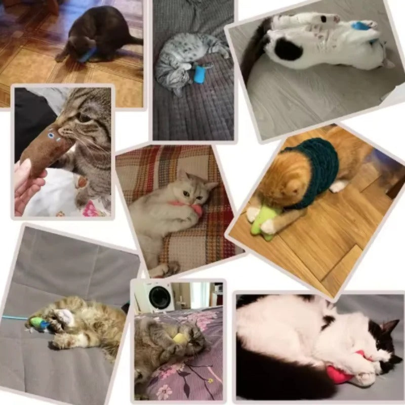 Teeth Grinding Catnip Toy – Fun Chew & Bite Plush for Cats & Kittens